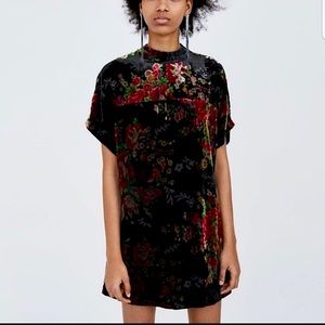 NWT Zara floral velvet dress